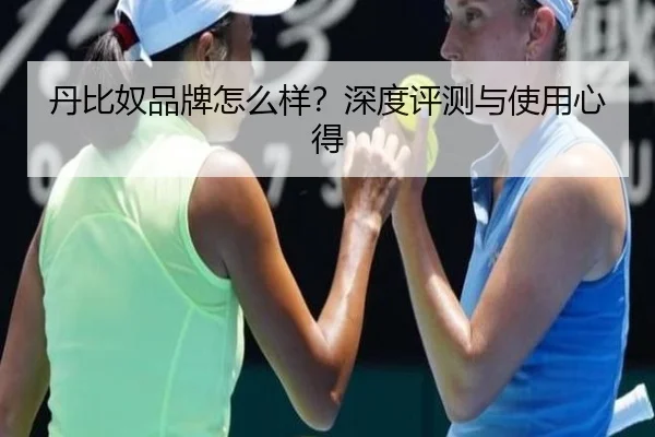 丹比奴品牌怎么样？深度评测与使用心得
